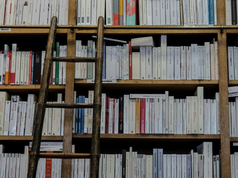 Дерев’яна драбина, приставлена до великої книжкової полиці з сотнями книг у бібліотеці.