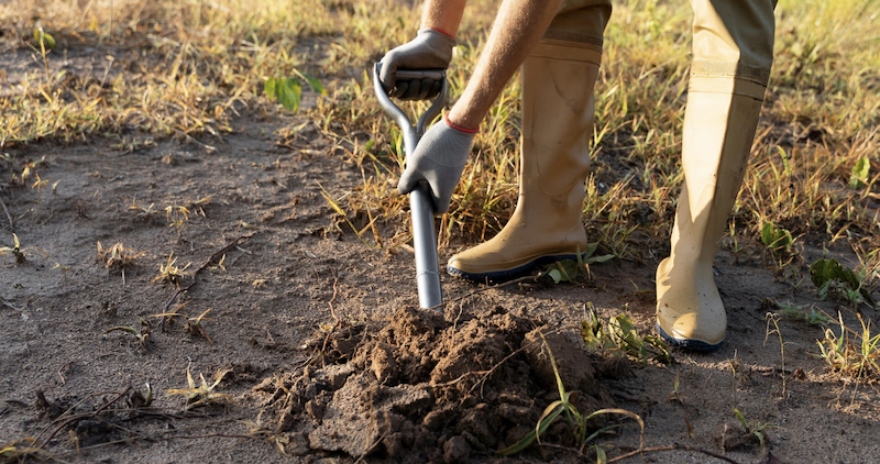 Що означає копати землю уві сні або бачити як хтось копає